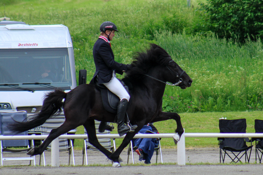 NM i islamdshest 2017 043