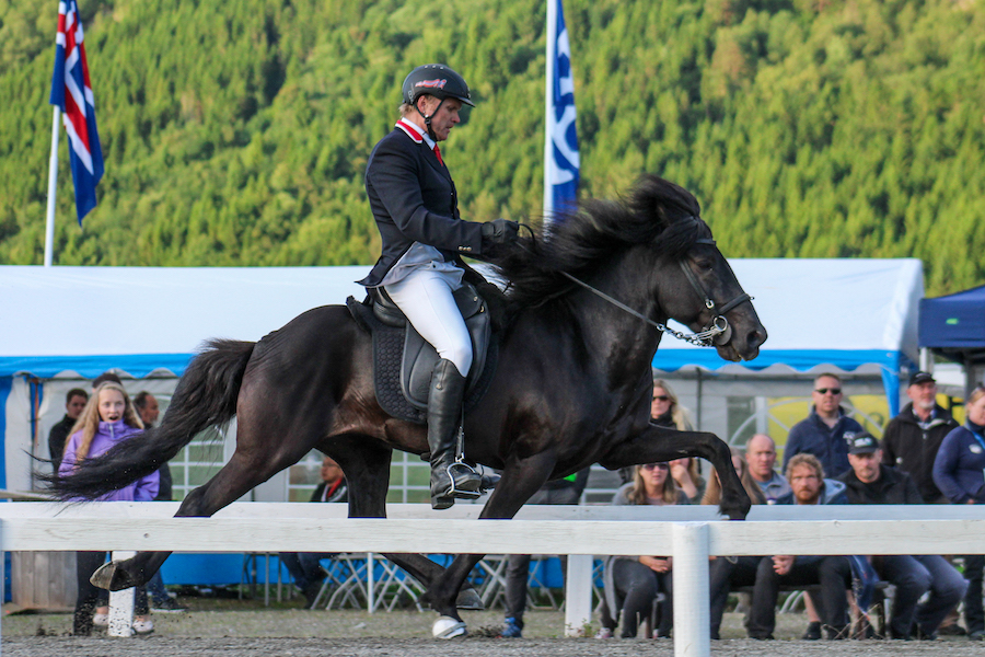 NM i islamdshest 2017 291