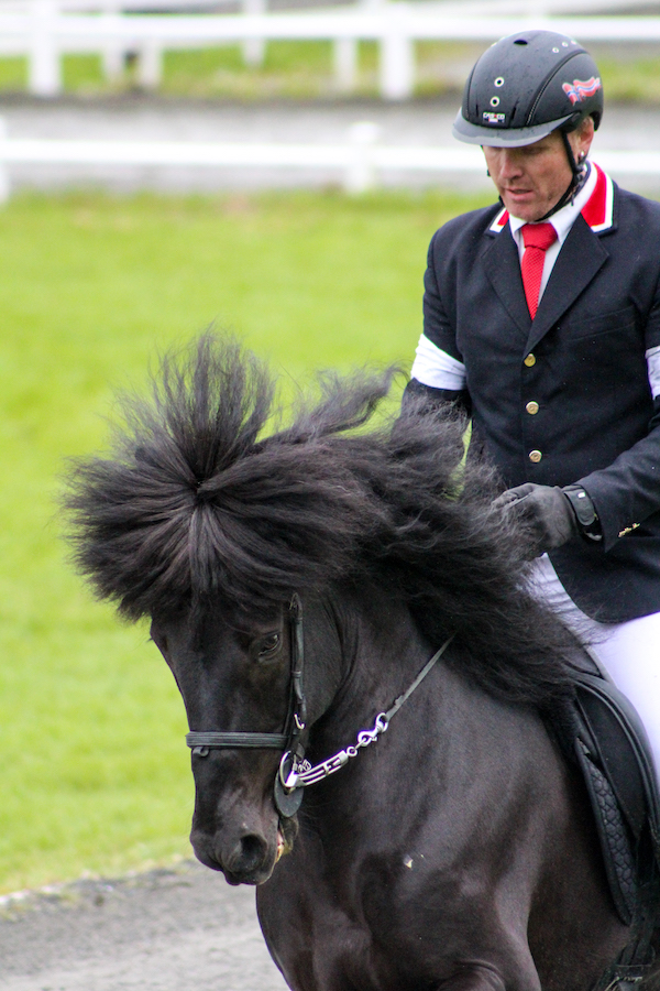 NM i islamdshest 2017 600