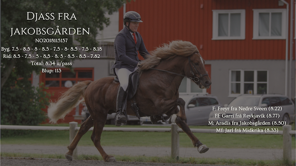 Skjermbilde 2026 02 10 kl. 09.05.59